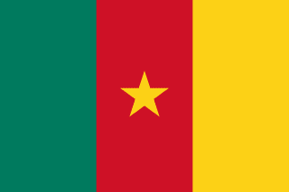 Drapeau Cameroun